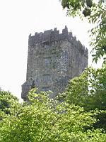 Irlande, Co Galway, Killarone, Aughnanure Castle, Tour (2)